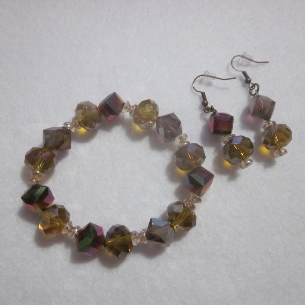 Multi Brown Bracelet & earring Set